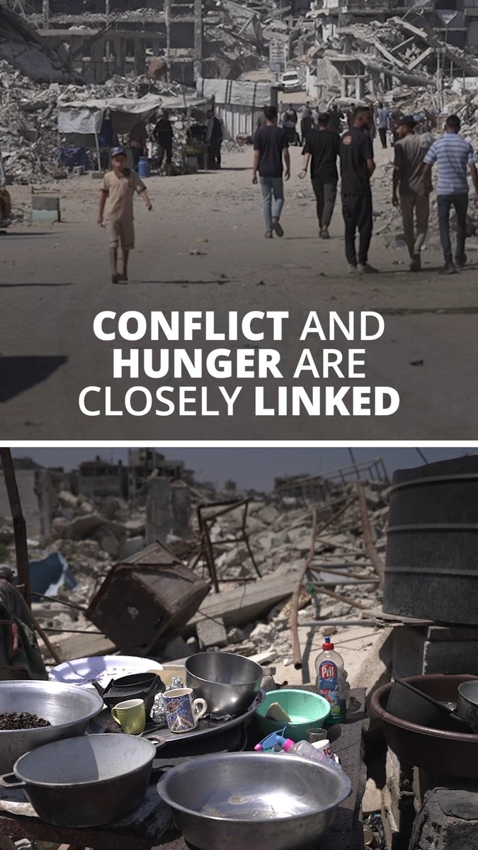 Conflict remains the leading driver of acute hunger worldwide. From Sudan to Palestine, Haiti and Somalia, conflict is destroying food systems, disrupting markets and forcing families from their homes. 🛑 ✋ It's time to break the cycle. We cannot accept hunger as the price of war.