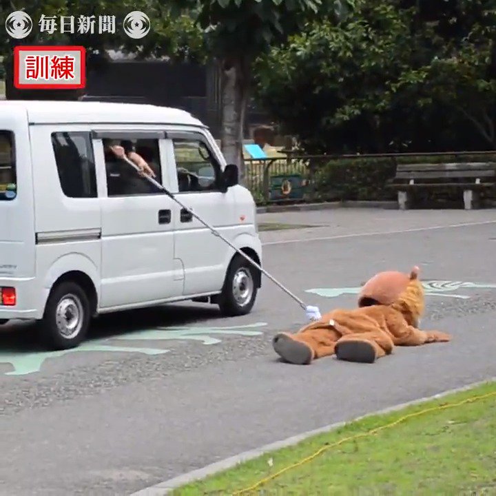The Tobe Zoo in Ehime, Japan conduts a lion escape drill every year, like this. Note the expression on the actual lions faces.