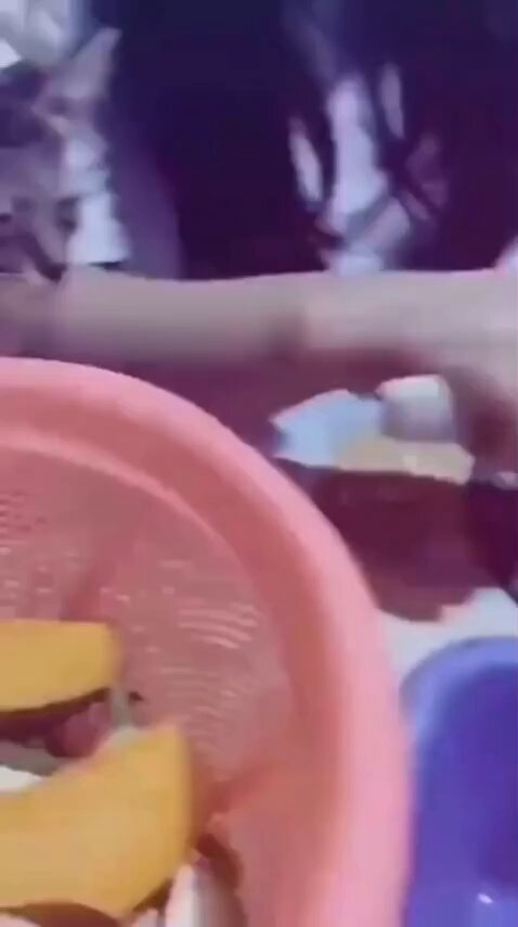 Não fique titi, gatinho