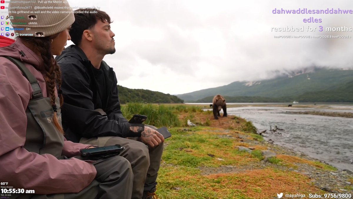 bear teaches streamers how to fish @fazeadapt Maya