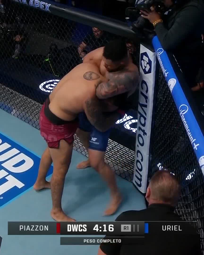 GUILLOTINE ET DODO 😴 #DWCS