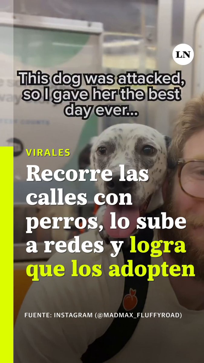 Cada semana, Bryan Reisberg carga a un perro de refugio en una mochila y sale a pasear por las calles de Nueva York: viajan en subte, van a Central Park, a una tienda de mascotas y a tomar algo. Filma todo el recorrido y sube el video a sus redes con un link para adoptarlo. Gracias a esta exposición, ya logró que 34 perros consigan familia. E incluso, su iniciativa ganó un Webby Award 2026.