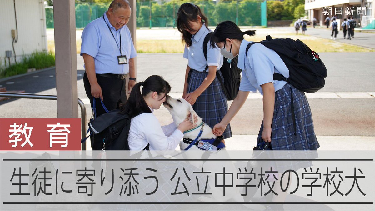 【動画】クーンと甘え、校長室で昼寝 学校犬ドルチェを飼う校長先生の熱意 学校などの学びの場で、子どもたちに犬が寄り添う――。全国でそんな「学校犬」(スクールドッグ)の取り組みが広がっています。