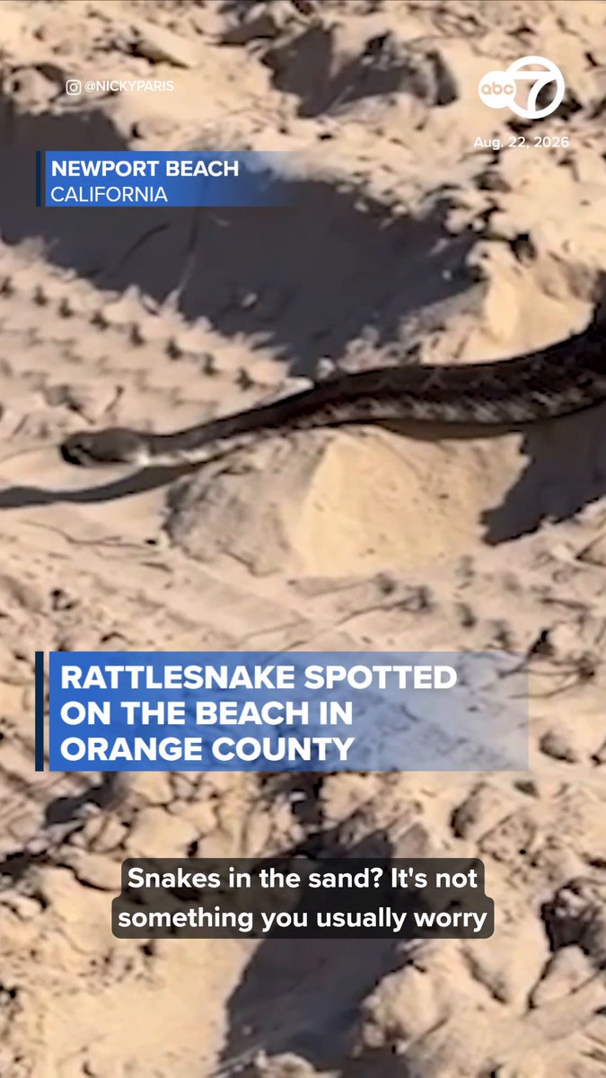 Video shows a rattlesnake slithering through the sand at Crystal Cove in Newport Beach. "I had felt something tickle my big toe... It was huge," said Nicky Paris, who captured the video of the close encounter. Read more: