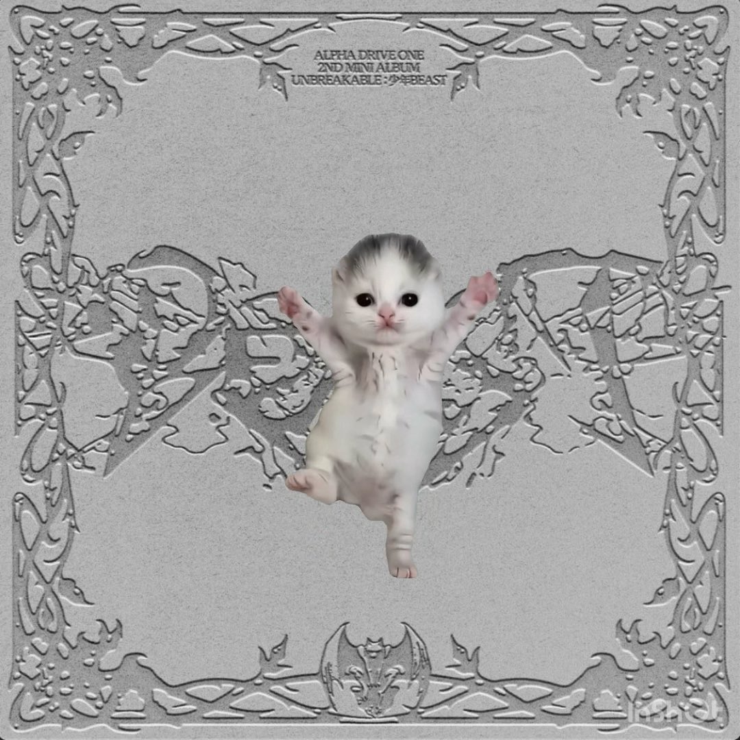 お姉さん、ボンダイをどうにかして流行らしたい。 自分は踊れないので猫ちゃんたちに踊ってもらいました。