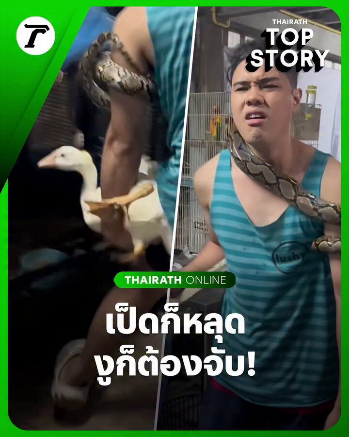 หนึ่งวันพันเหตุการณ์ 😳 บันเทิงมากบ้านนี้
