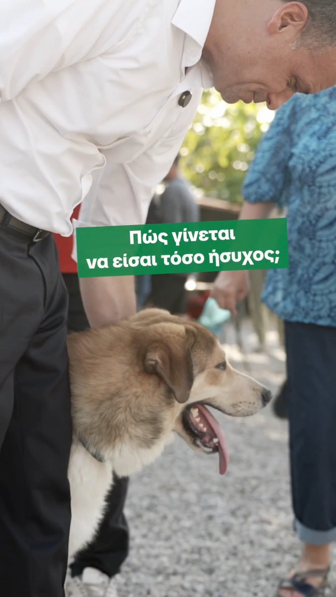 🐾 Η Σίσσυ βρήκε ήδη το νέο της σπίτι, στην αγκαλιά της Ναυσικάς! Με αφορμή την Παγκόσμια Ημέρα Σκύλου, βρεθήκαμε στο Καταφύγιο «Σωκράτης» για να γνωρίσουμε καλύτερα τα σκυλάκια που φιλοξενούνται εκεί. Να μάθουμε να αναγνωρίζουμε τον φόβο, το άγχος και τις ανάγκες τους. Γιατί η αγάπη θέλει και γνώση. Δίπλα τους, καθημερινά, οι εκπαιδευτές, οι εθελοντές και οι εργαζόμενοι της Αστικής Πανίδας. Και αυτές τις πολύ ζεστές ημέρες, η φροντίδα είναι ακόμη μεγαλύτερη. Έχουν μέχρι και τη δική τους πισίνα για να δροσίζονται! Ο μεγάλος στόχος, όμως, είναι ένας: να βρουν και τα υπόλοιπα 87 σκυλάκια μια νέα οικογένεια. Έλα να τα γνωρίσεις από κοντά. Μπορεί να φύγετε μαζί! 🐶