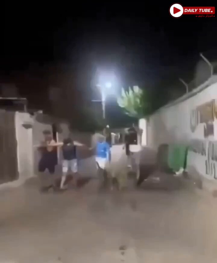 🇩🇿📌| Quand la caméra de votre téléphone se transforme en arme avec laquelle vous vous défendez... Des membres de gang reculent dès qu'ils sont filmés par les habitants du quartier.