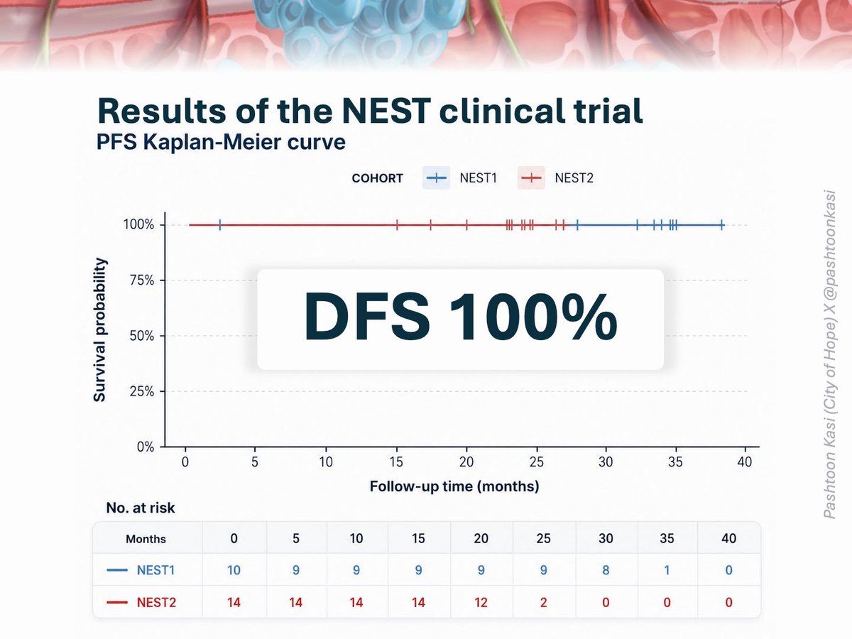 🆕👇🏽Unveiling FULL results of our #NEST🪺 Trial in MSS “cold”🧊colorectal cancer 💡Immunotherapy (BOT🤖/BAL) BEFORE surgery 💯% disease-free to date✅ NEST1:~32 months NEST2:~24 months 5 years of work—now in Clinical Cancer Research🙌🏽 🚀#NEST3 NOW OPEN! OncoAlert 🔗