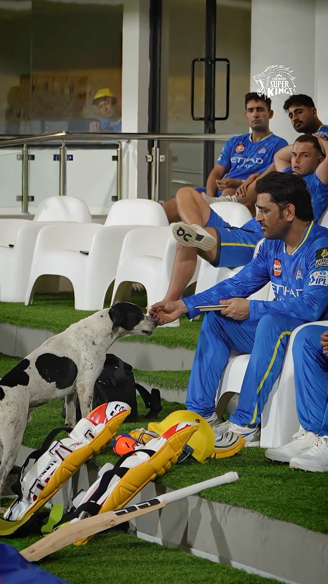 Always by our side, always with us and always a part of us! 🫶🐶 #WhistlePodu #InternationalDogDay