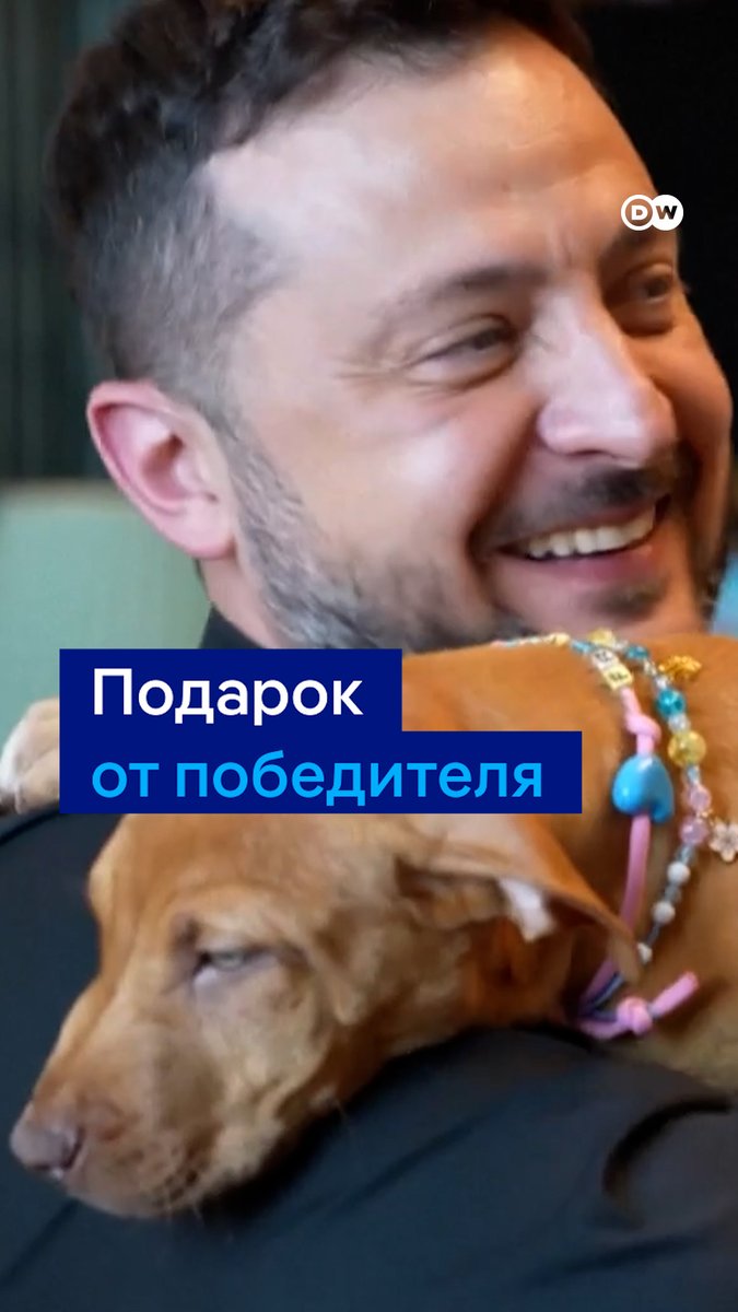 Владимиру Зеленскому подарили щенка. Собаку в Киев привез американский боксер Теренс Кроуфорд. Вот как отреагировал президент Украины