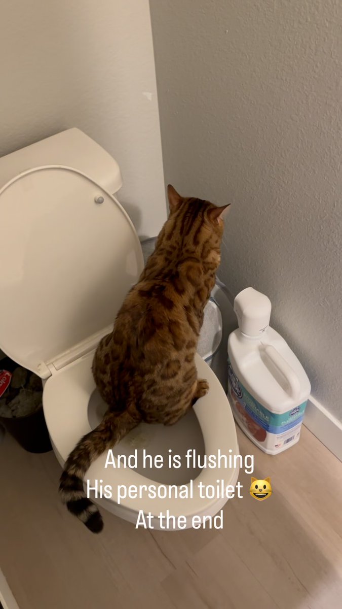 The cleanest thing in that bathroom is the cat