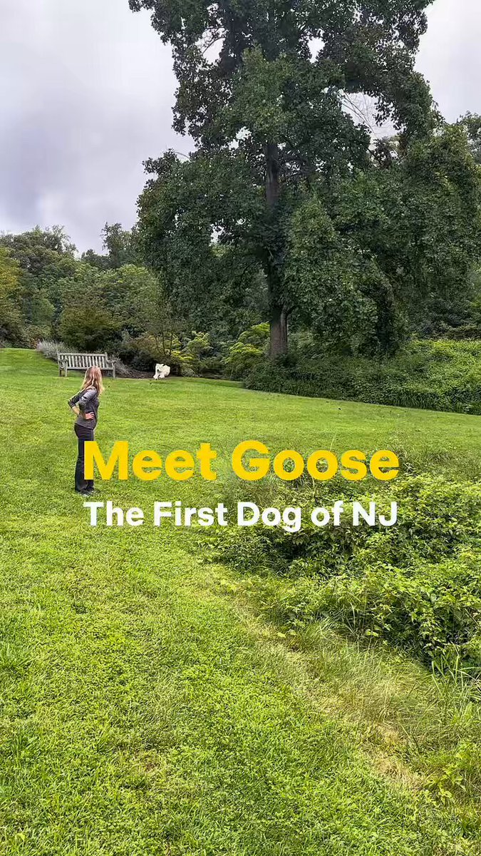 Meet Goose, the First Dog of New Jersey! 🐶