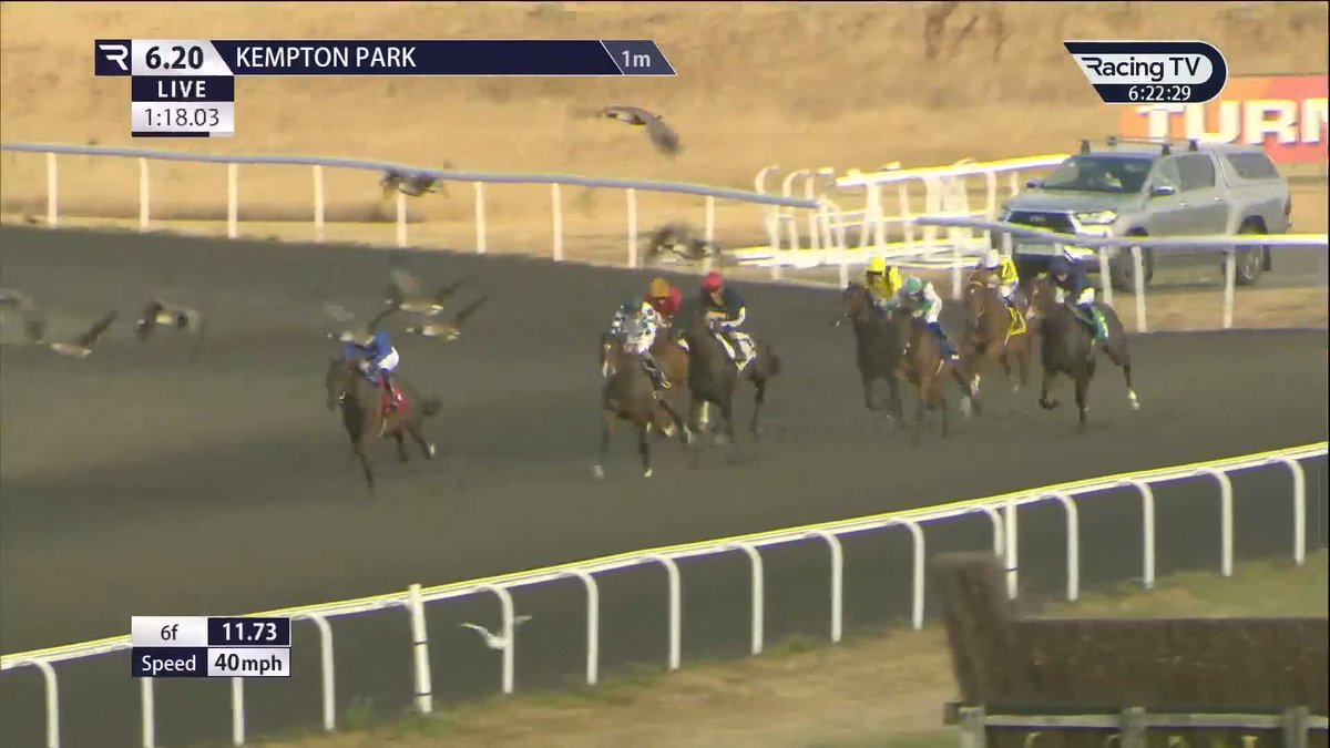 No mistake THIS TIME! 👊 Group 1-entered Godolphin colt Al Wathba makes it third-time lucky. 🔵 William Buick | Kempton Park Racecourse