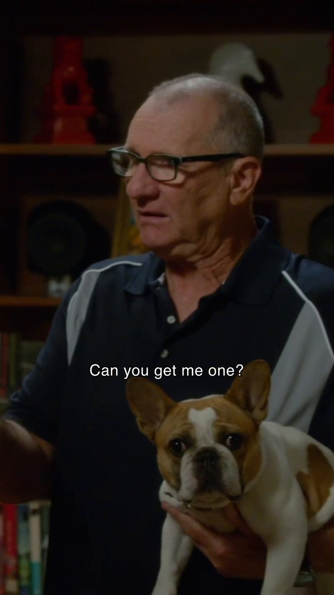 The unofficial Stella fan club uniform. #NationalDogDay