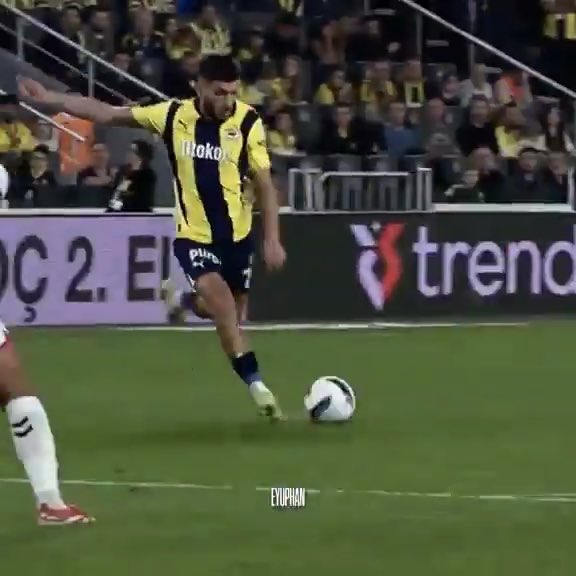 o leao itini getirin tasma bağlayacam demiş 🤷♂️