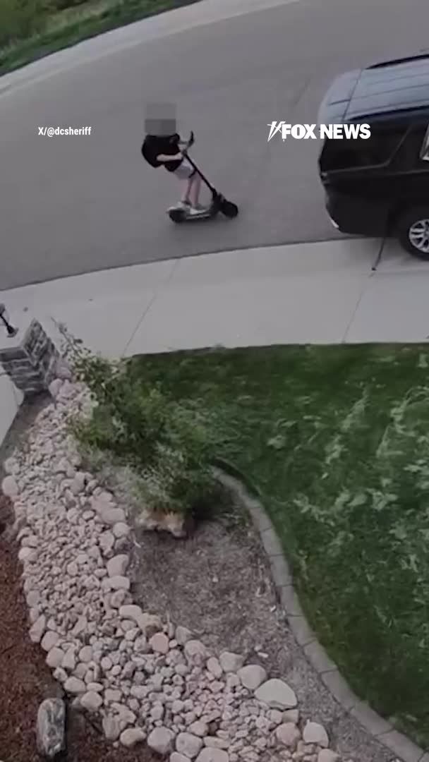 A young e-scooter rider was distracted, staring down at a handheld device as he sped straight toward a parked SUV, then slammed right into it. The Douglas County Sheriff’s Office in Colorado shares the painful-looking reminder with one simple message: “Please pay attention to your surroundings, not your phone.”