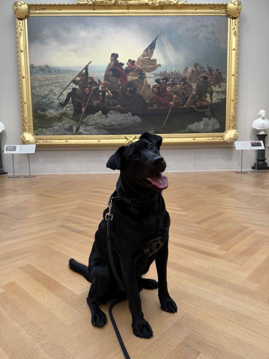 Happy #NationalDogDay from Met K9 security dog, Valor! To celebrate, Valor took us around to some of his favorite spots in the Museum including: 🏠 Engelhard Court 🐎 His taller four-legged friends in Arms and Armor 🩰 Degas's "The Little Fourteen-Year-Old Dancer" in European Sculpture and Decorative Arts ⛲️ Monet's gardens in European Paintings 🛶 "Washington Crossing the Delaware" in The American Wing
