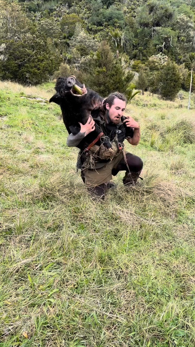 Have you ever packed one out like this? 🏹🐗 📸@brandoyelavichexplorer #ITSINOURBLOOD #outdoors #hunting #hoghunting #wildboar