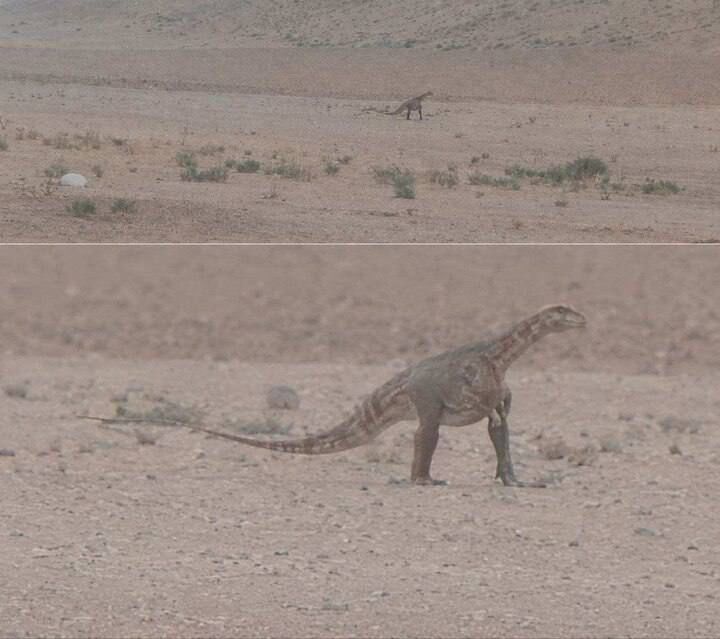 RED ALERT: Boomer Rescue Mission To Save Mitch McConnell Trapped In Iran Revealed!