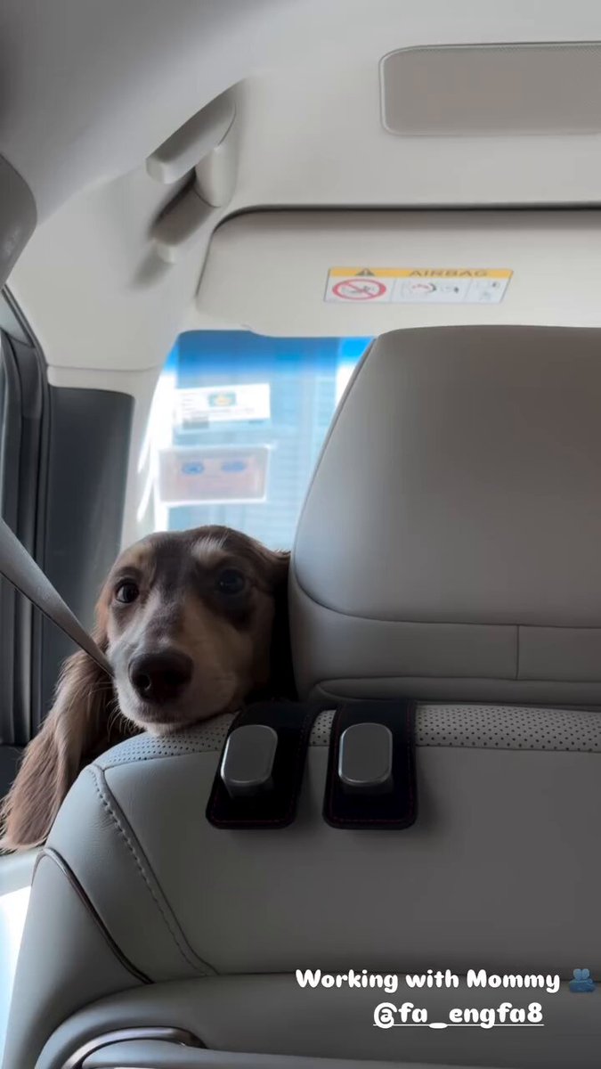 รุ่นนี้ต้องจับนั่ง Car seat นะคะ555555555555555555555