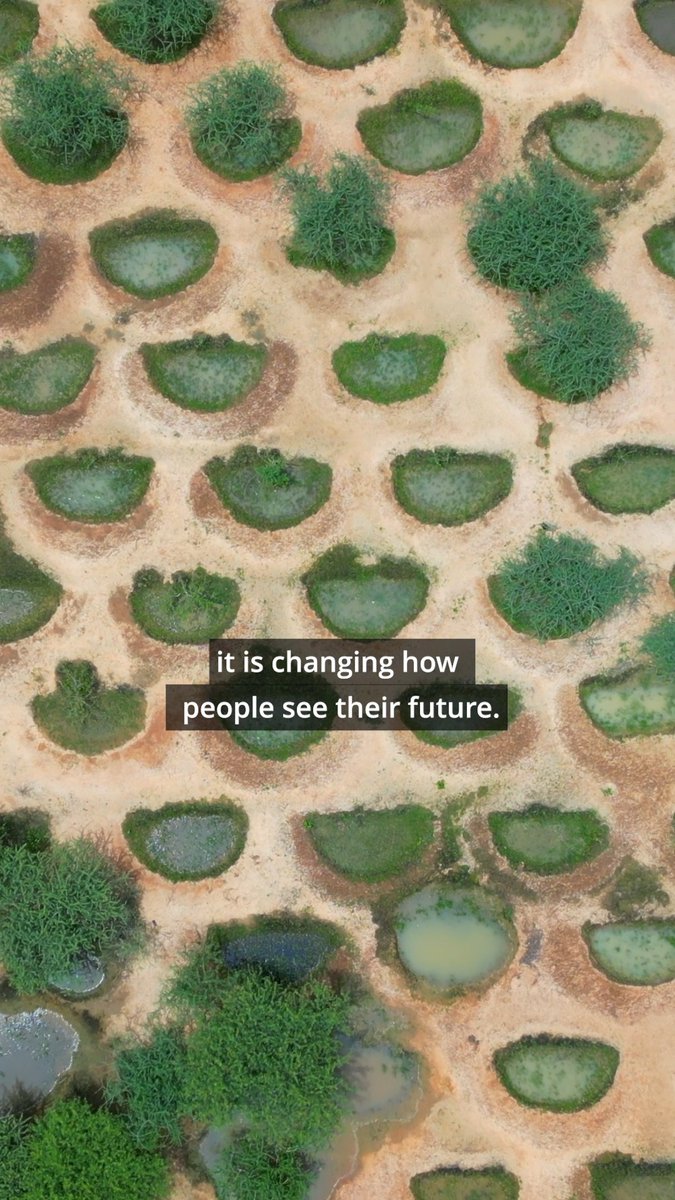 Across some of the #Sahel’s toughest landscapes, communities are bringing degraded land back and improving food security. Now, at #COP17 that work has been recognized by UN Environment Programme as one of the world’s Restoration Flagships, highlighting the power of restoring degraded land to build more resilient communities and food systems.