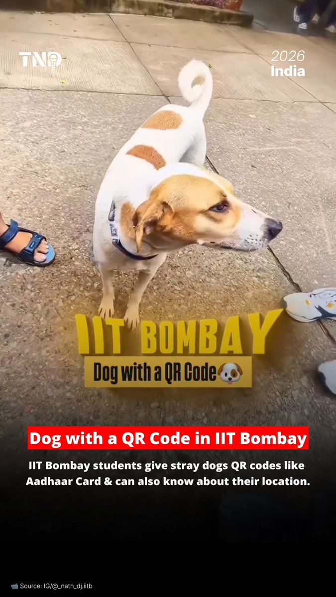 IIT Bombay gives stray dogs a digital identity named as Animal Aadhaar Id! Dogs on the IIT Bombay campus are being fitted with belts carrying QR codes. A quick scan can reportedly reveal their ID, location history, current location, vaccination status and medical records. From street dogs to digitally tracked campus residents technology meets animal welfare. 🐾🇮🇳