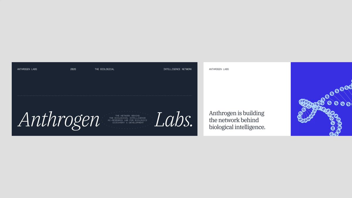 designing brand in action is the most fun part of the process