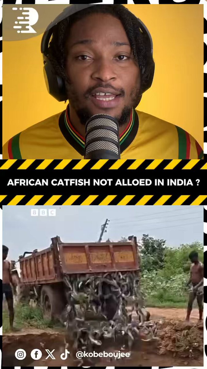 Why African catfish is not allowed in India and why tonnes of them are being destroyed by authorities?
