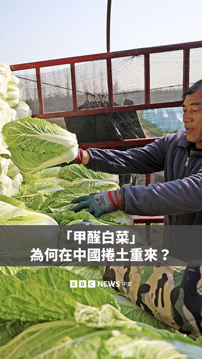 中国河北省曝出“甲醛白菜”事件，有商贩被指用甲醛溶液浸泡大白菜，以延长保鲜期。该事件引发民众关注，多个城市展开紧急排查。 该事件也再次引发公众对中国食品安全的担忧，尤其是在此前食用油罐车混运丑闻曝光后。有专家认为，由于食品供应链涉及多个环节和监管部门，在实际执法层面可能出现盲区。