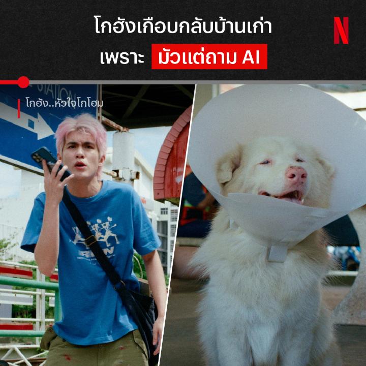 ดูทรงแล้วน่าจะใช้แบบพรีเมียม แก้ปัญหาแบบคนยุคใหม่ มีอะไรถาม AI ไว้ก่อน เกือบไม่รอดแล้วโกฮัง เปเล่จากเลี้ยงน้องรอดมั้ย ไปดูต่อใน #โกฮังหัวใจโกโฮม ที่ #NetflixTH ครับ
