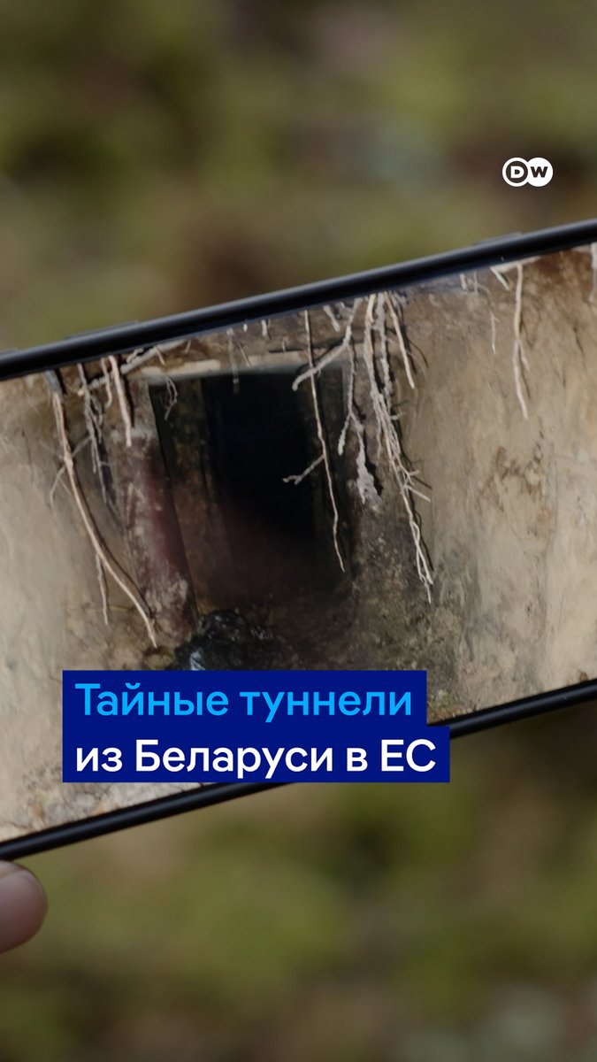 Пограничники Латвии и Литвы находят все новые секретные подземные туннели на границе с Беларусью. По ним на территорию ЕС проникают нелегальные мигранты. В странах Балтии уверены: туннели - часть гибридной войны Беларуси против стран Европы. Видео DW из Латвии