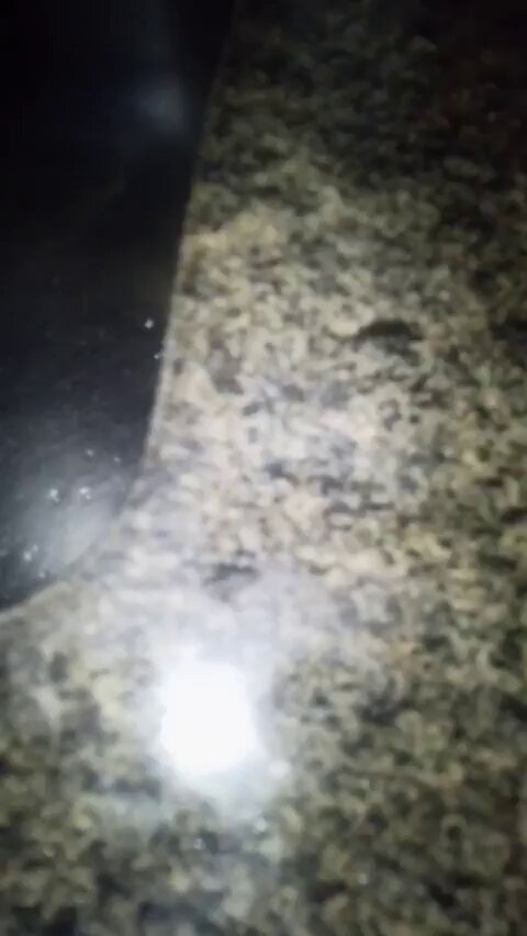 Acordou pra tomar agua e viu a Mãe dando pro Tio solteiro da Familia, fizeram papai e mamãe no meio da sala de Madrugada 😋💦💦 Clique e Assista😈 🔗: #BUNDAAWARDS #RABAAWARDS #novinha #vazados #vazouvideo #caiunanet #nolimit #amadores #vazado #corno