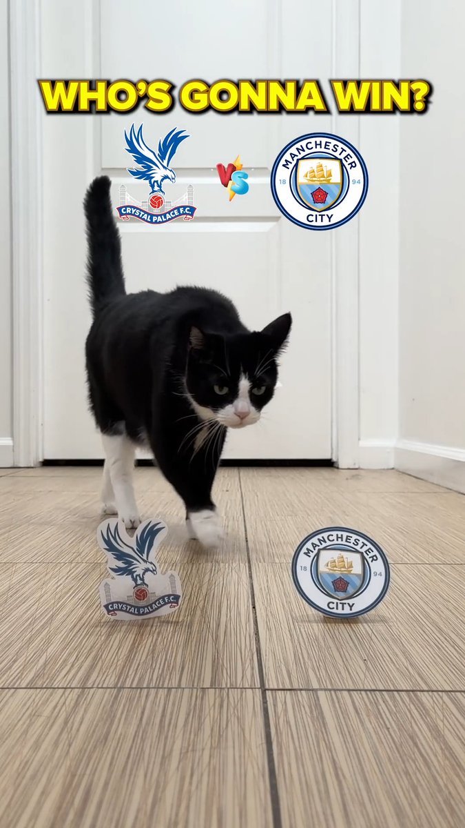 Dino predicts this weekend's big Premier League fixtures 🔮🐱