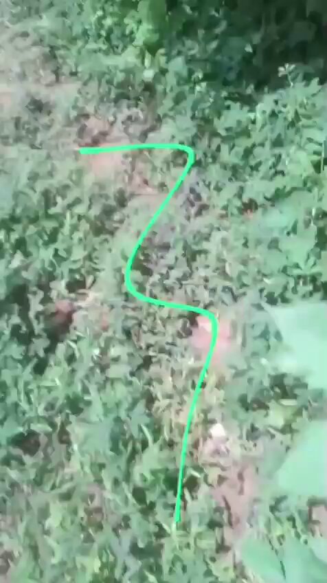 ये कहा से आते है