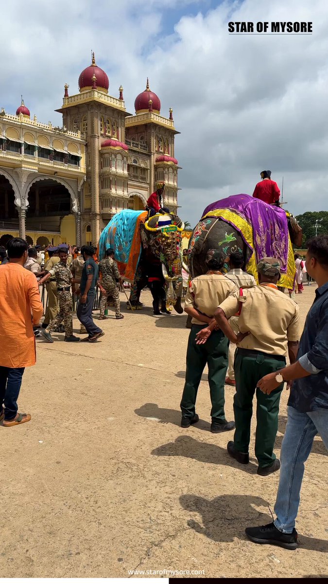 Mysore Palace witnessed a tense situation for a brief time as Dasara jumbo Srirama suddenly panicked in front of Mysore Palace. Srirama, who was clam, suddenly panicked as the musicians started beating drums making loud sound behind it. Later the elephant was brought to control by its mahout and kavadi.