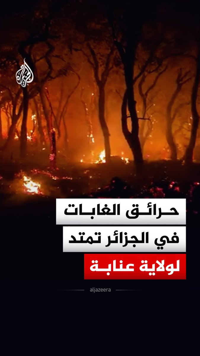 حرائق الغابات في الجزائر تمتد لبلدية سرايدي في ولاية عنابة #فيديو