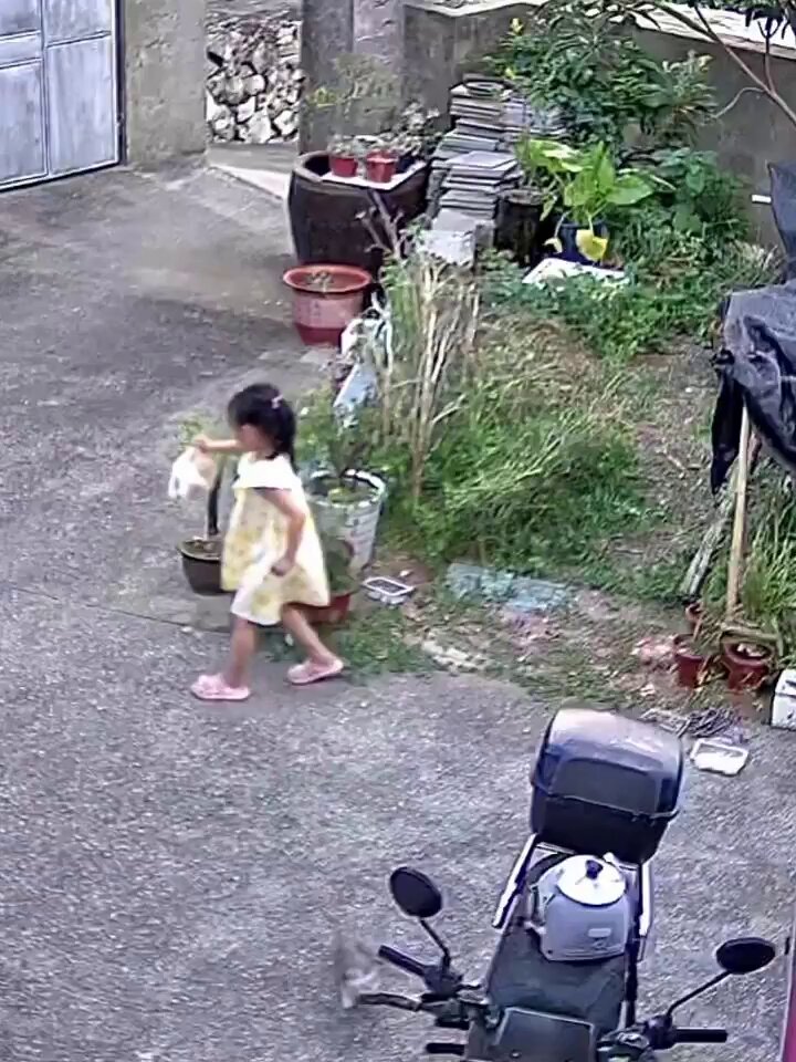 また、胸が痛くなるような出来事が起きました。 中国・浙江省で、ある少女が子猫を水槽のような容器に入れ、何度も叩いた結果、子猫が死亡したとされています。 この出来事を見て、以前中国で大きな議論を呼んだ「旺旺事件」を思い出した人もいるかもしれません。 「旺旺事件」は、犬への虐待をめぐる映像がネット上で拡散され、動物虐待や未成年者への教育、保護者や周囲の大人の責任について大きな議論になった出来事です。 今回も、単に「子どもが残酷なことをした」で終わらせるのではなく、 なぜその行為がいけないのかを教える教育、 そして動物を守るための仕組み の両方が必要なのだと思います。 動物保護という面でも、未成年者への教育という面でも、中国にはまだ長い道のりが残っているのかもしれません。
