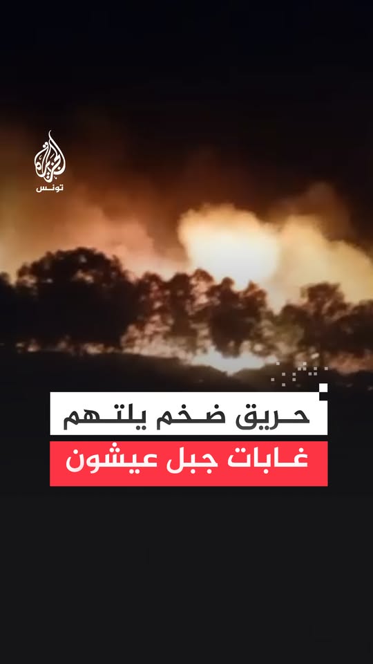 اندلاع حريق ضخم في غابات جبل عيشون بمعتمدية سجنان من ولاية بنزرت التونسية، يلتهم مساحات شاسعة من الغطاء الغابي #فيديو