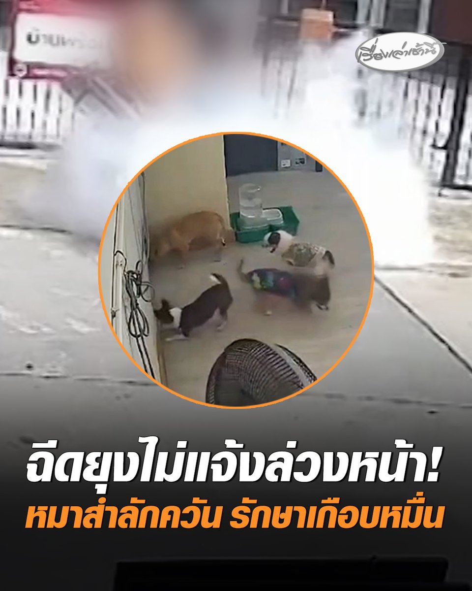 สาวร้องขอความเป็นธรรม! หมู่บ้านฉีดยุงไม่แจ้งล่วงหน้า ควันเข้าบ้าน สุนัข 5 ตัวป่วย ต้องรักษาเกือบหมื่น #เรื่องเล่าเช้านี้ #ครอบครัวข่าว3 #ข่าวสังคม