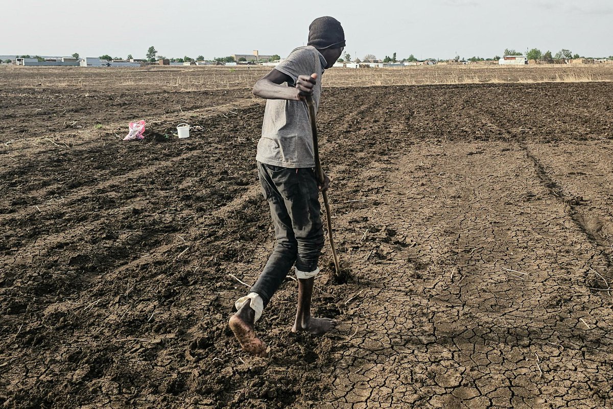 🇸🇩 Sudan farms lie barren as El Nino leaves Nile banks dry In Sudan's breadbasket of Gedaref, farmers are battling both drought and soaring production costs as they try to salvage this year's harvest. The El Nino climate pattern in the Pacific Ocean has delayed crucial rains.