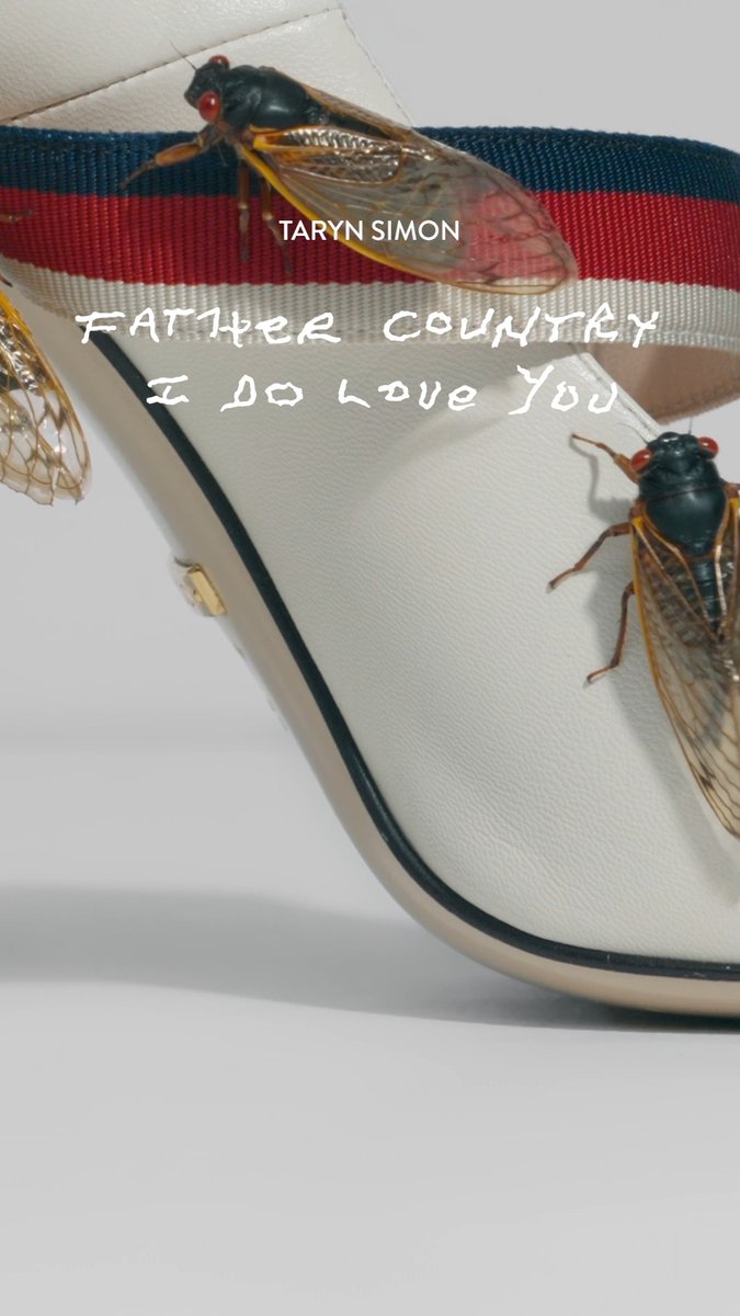 After 13 or 17 years underground, their simultaneous emergence overwhelms potential predators. “Father Country I Do Love You” traces the life of an unnamed federal agent through 42 chapters. In this labyrinth of stories, Taryn Simon uncovers the ripple effects of her protagonist's actions and inactions. Opens September 18. Tickets available now.
