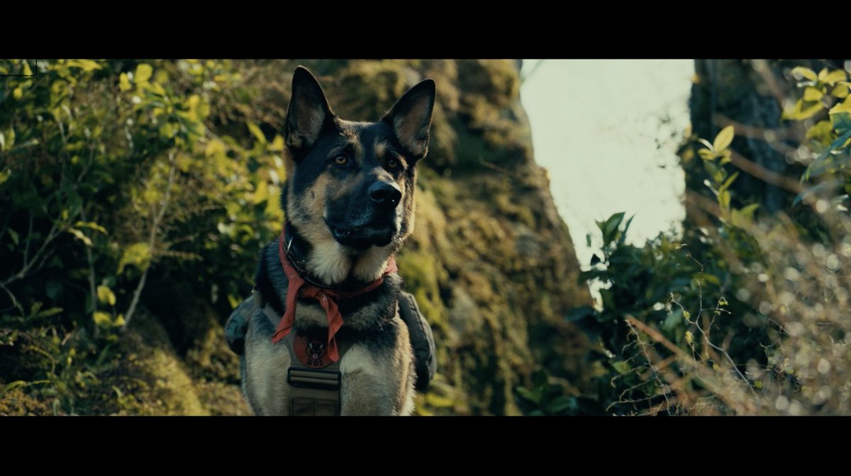 #HeartOfTheBeast tickets go on sale MONDAY. In theatres everywhere September 25.