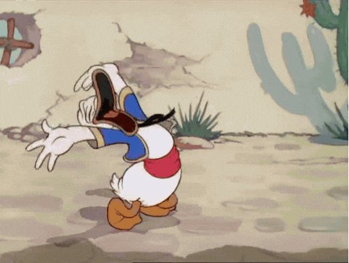 Omg! 🤣🤣😆They just keep getting better! Canadian ducks will now be known as Donald Ducks!🦆🤣🤣😆