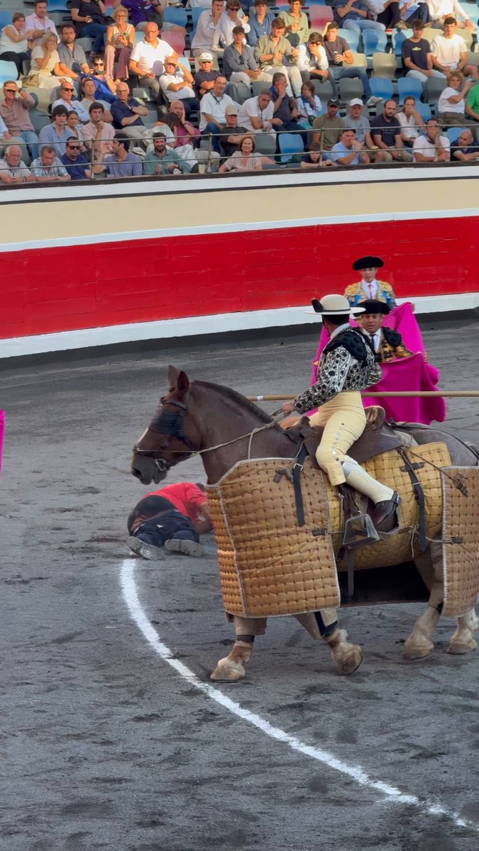 Se llevan al monosabio a la enfermería tras sufrir un percance al salir más allá de la segunda raya a agarrar del rabo al toro. Asumió un riesgo demasiado elevado.