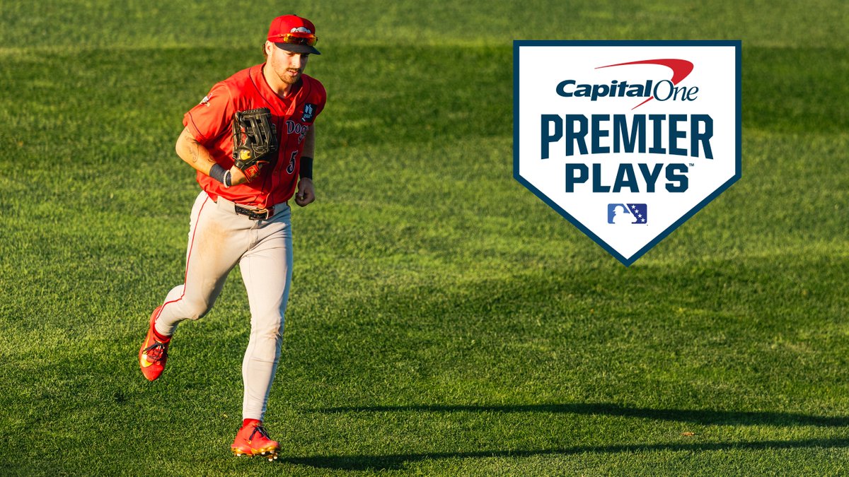 Home run robberies and a tag you have to see to believe 🤯 Vote for the best of this week's #MiLBPremierPlays: