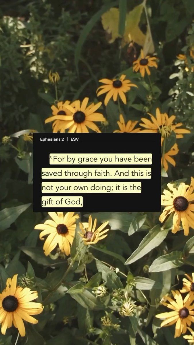 Ephesians 2:8