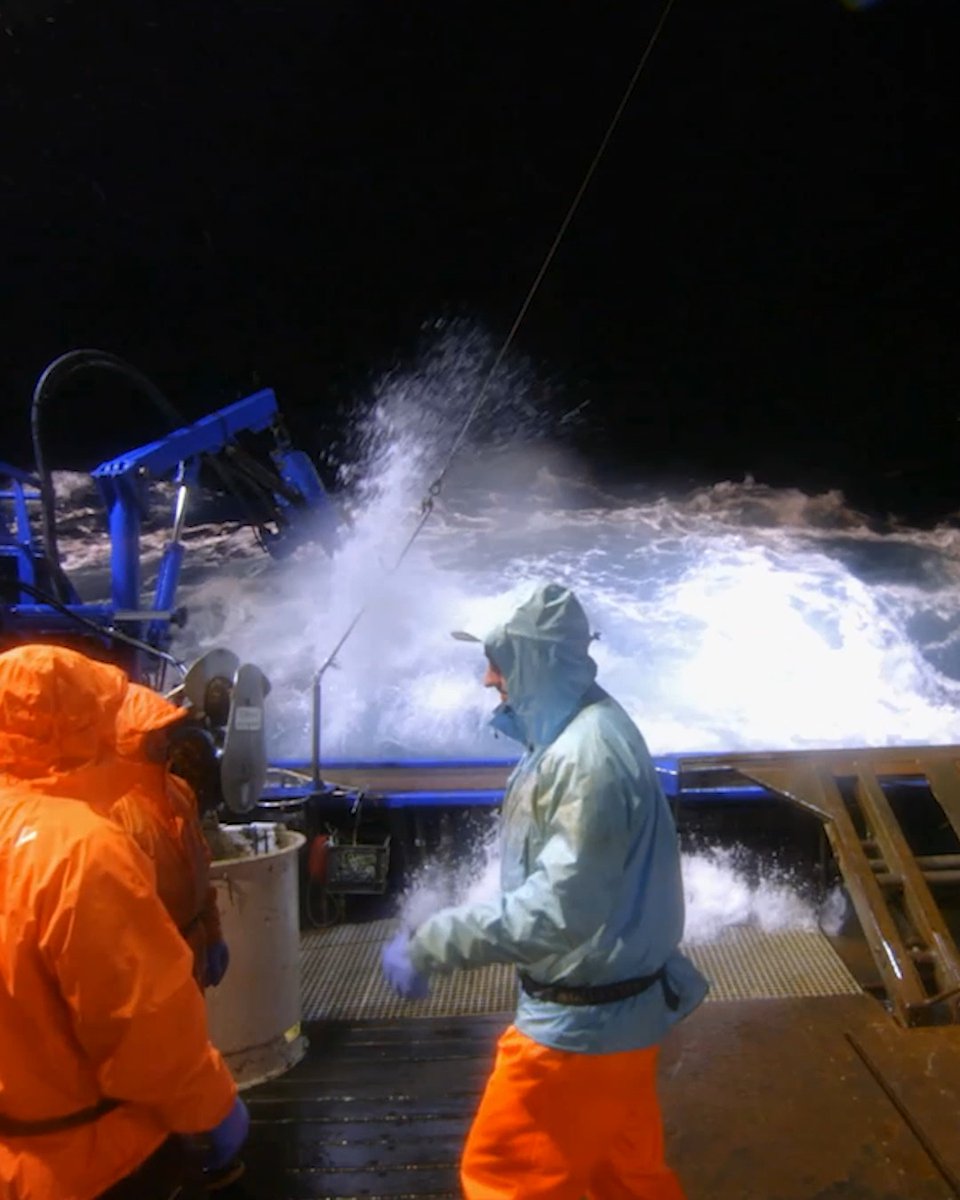 "Holy sh*t! There's water in that laz!" ⛴️ 🌊 🚨 Sig and the Northwestern crew discover there's water in the laz, a 25 x 6 foot storage hole at the stern. #DeadliestCatch is all new tonight 8P on Discovery.