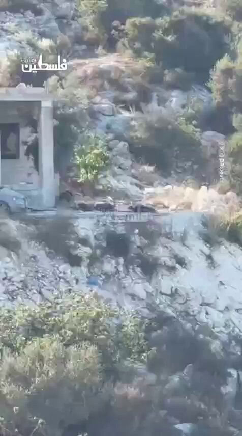 Two Hamas Palestinian terrorists were eliminated today by Israeli Air Force jets in Jenin, in Judea and Samaria. Don't fuck with Israel.