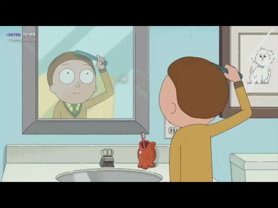 I think I got rick and morty on point